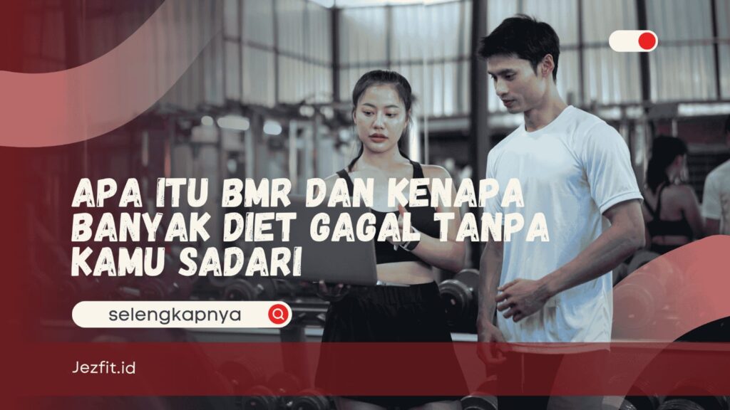 apa itu BMR